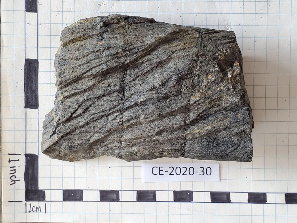 CE 2020 30