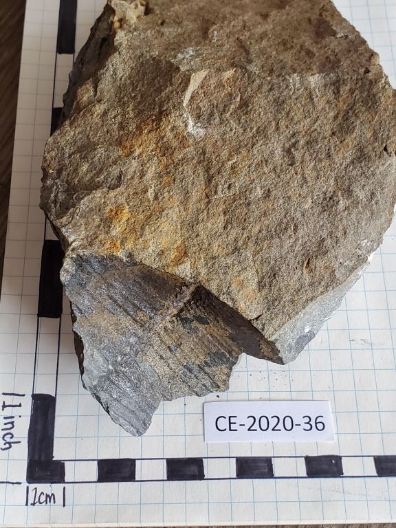CE 2020 36