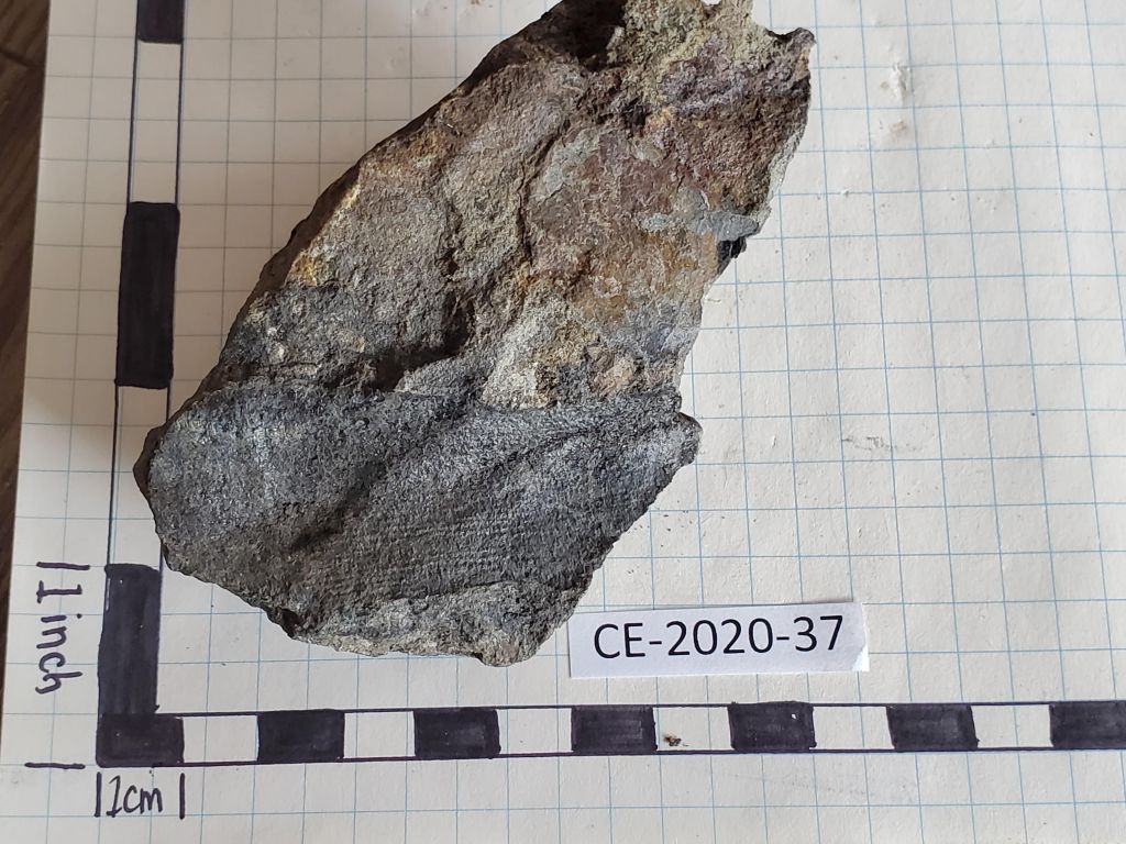 CE 2020 37