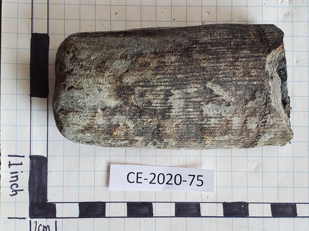 CE 2020 75