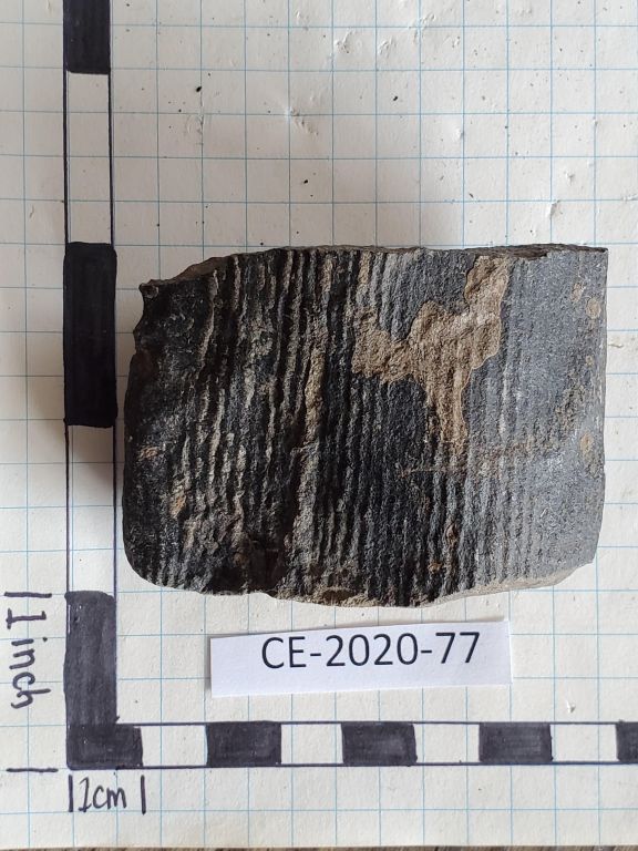 CE 2020 77