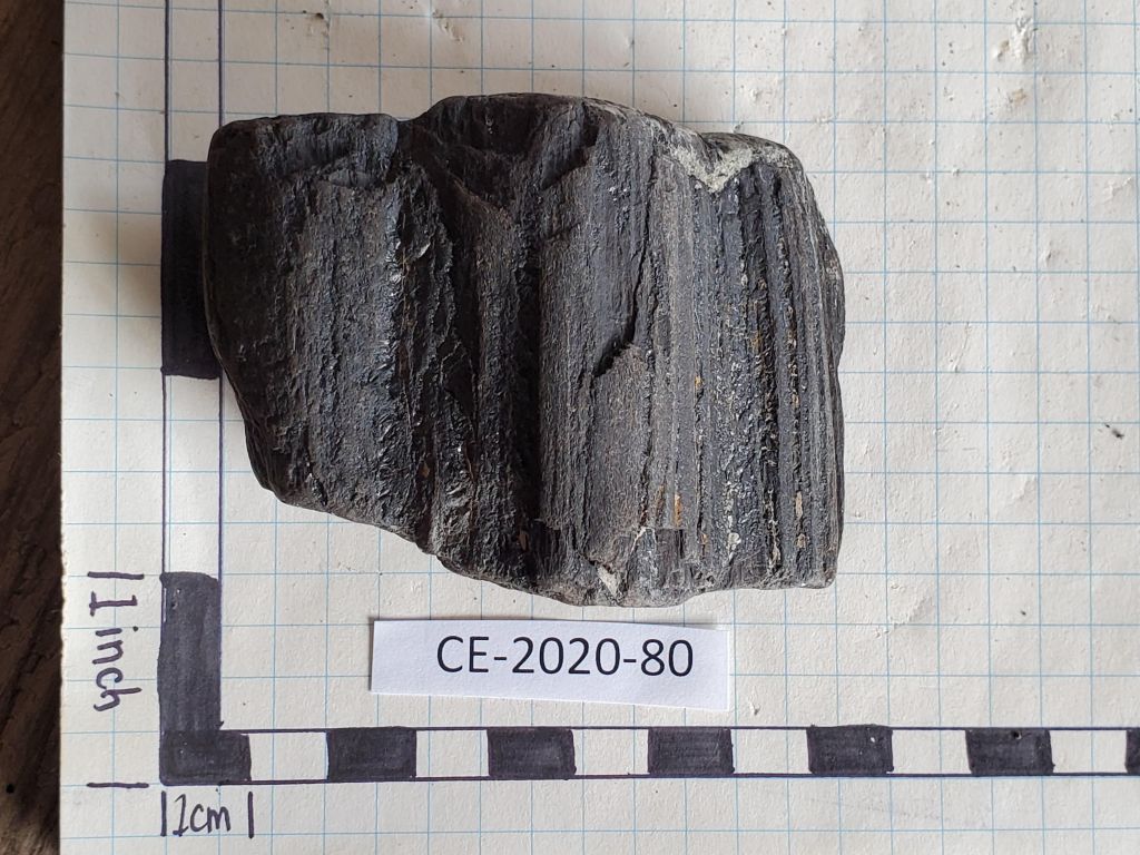 CE 2020 80